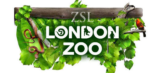 Image result for london zoo