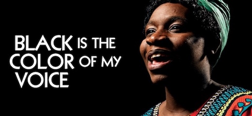 Black Is The Color Of My Voice