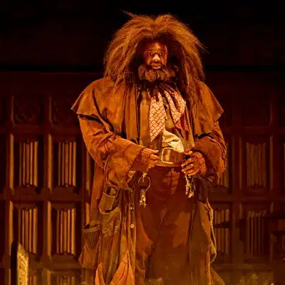 Harry Potter and the Cursed Child Gallery Image