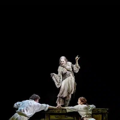 Into the Woods Gallery Image