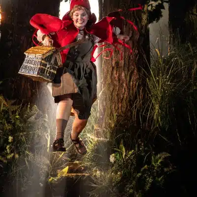 Into the Woods Gallery Image