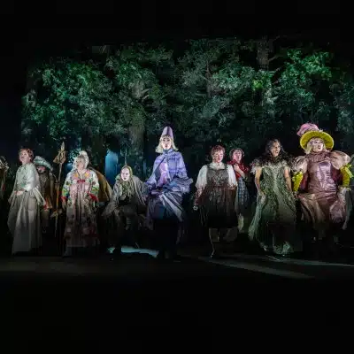 Into the Woods Gallery Image