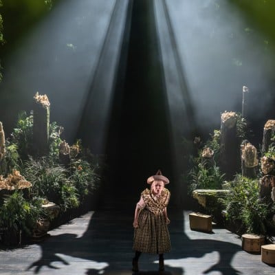 Into the Woods Gallery Image