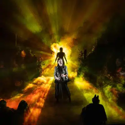 Into the Woods Gallery Image